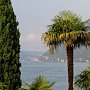 Cay_2010.014