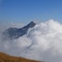 Cay_2010.048