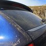 Cay_2010.066