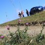 Cay_2010.076