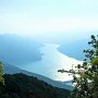 Cay_2010.187