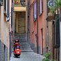 Cay_2010.228