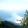 Cay_2010.187